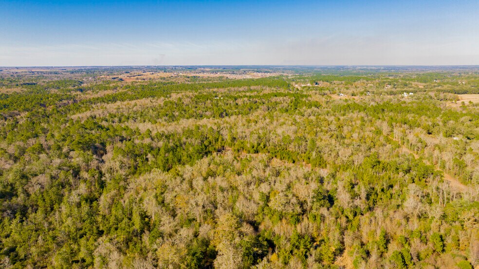 More Photos Of 12960 County Road 48, Silverhill Land For Sale