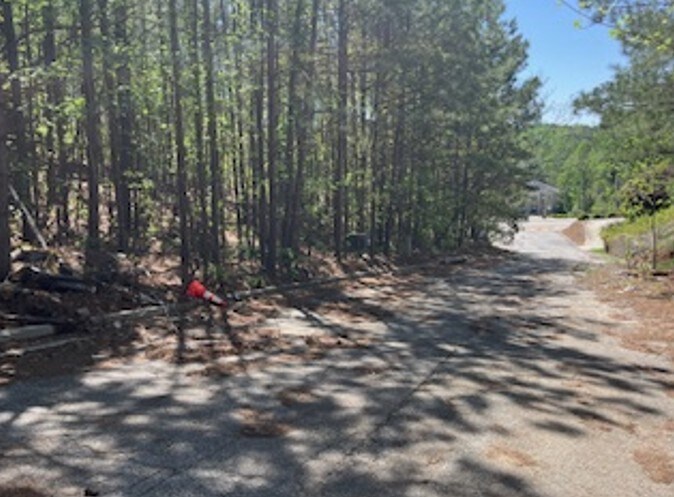 More Photos Of 4107 Danforth SW Rd, Atlanta Land For Sale