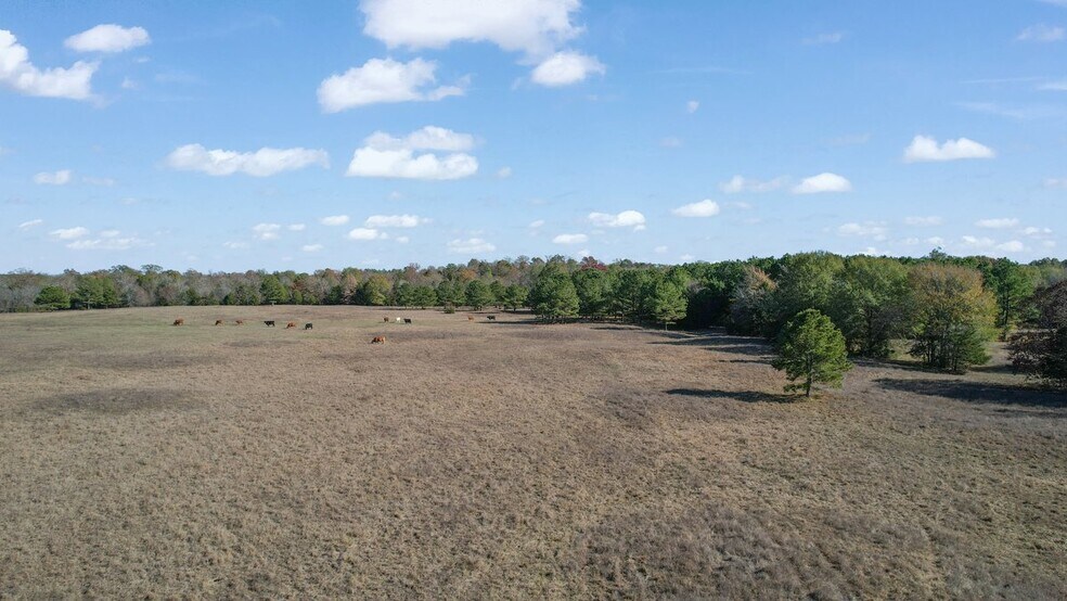 More Photos Of 190202 N 4130 Rd, Antlers Land For Sale