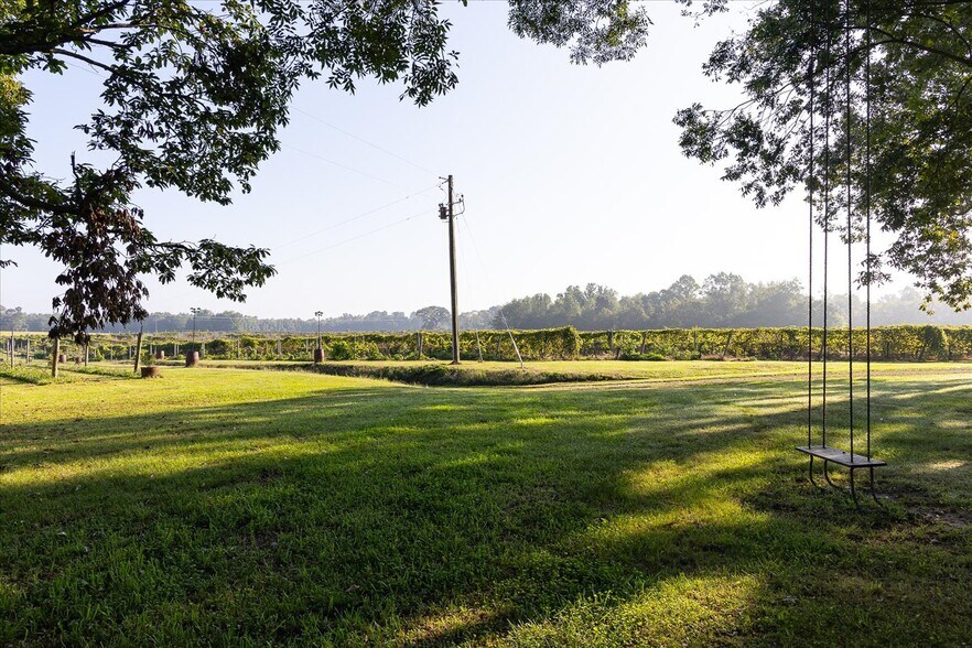 More Photos Of 667 Hustle Rd, Hustle Winery Vineyard For Sale