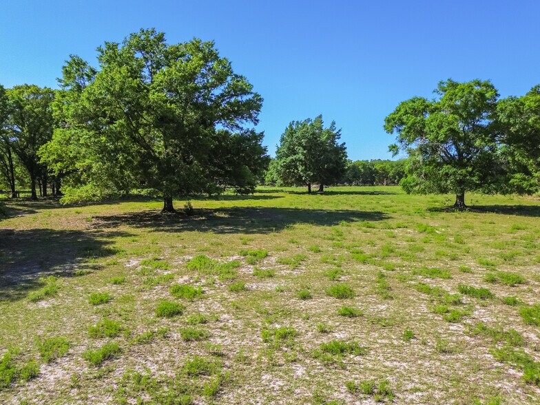 More Photos Of 12500 Hamlin Rd, Spring Hill Land For Sale