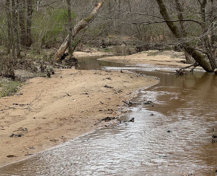 More Photos Of 10831 Highway 9, Kellyton Land For Sale