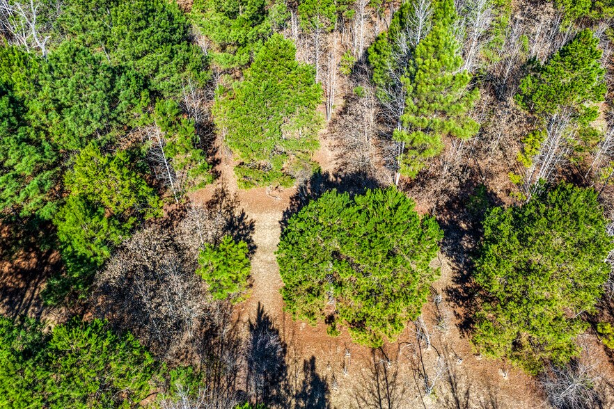 More Photos Of 1609 County Road 246 S rd, Tyler Land For Sale