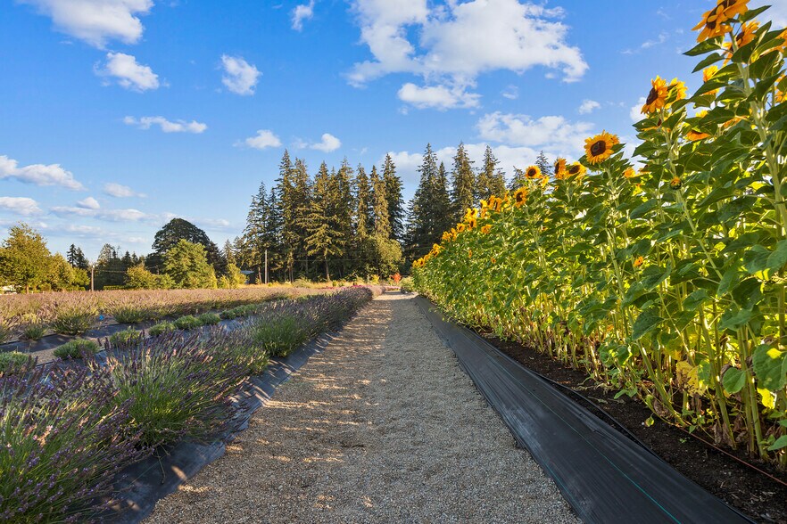More Photos Of 19012 NE 139th St, Brush Prairie Specialty For Sale