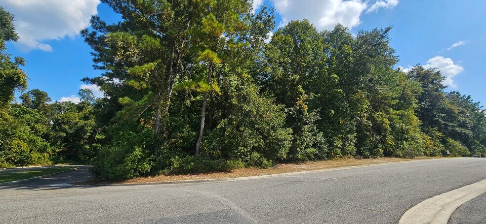 More Photos Of TBD SW Newland Way, Lake City Land For Sale
