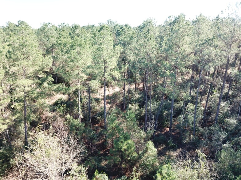 More Photos Of Corrigan Road, Vidor Land For Sale