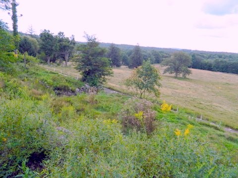 Mount Pocono Land For Sale