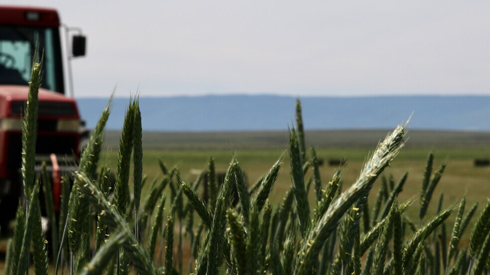 More Photos Of 48999 County Road 48, Model Land For Sale