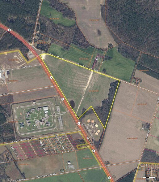 More Photos Of Hwy 9 @ Beauty Spot Rd, Bennettsville Land For Sale
