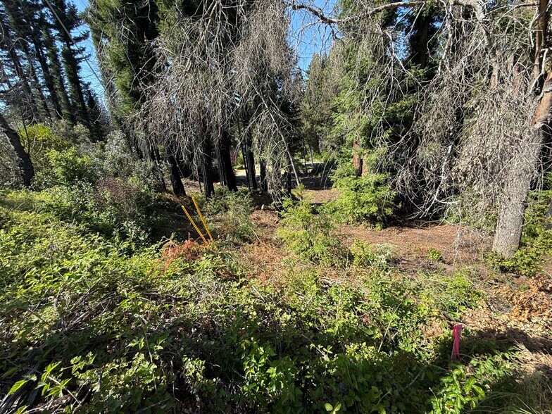 More Photos Of 0 Fallen Leaf Drive, Boulder Creek Land For Sale