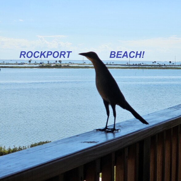 More Photos Of 1325 Broadway St, Rockport Apartments For Sale