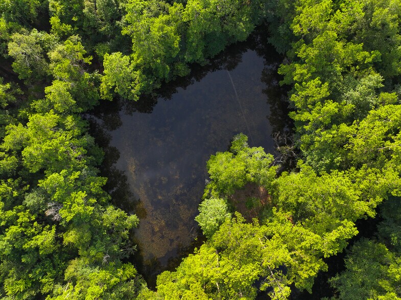 More Photos Of 3.39 Acres, FM 787, Saratoga Land For Sale