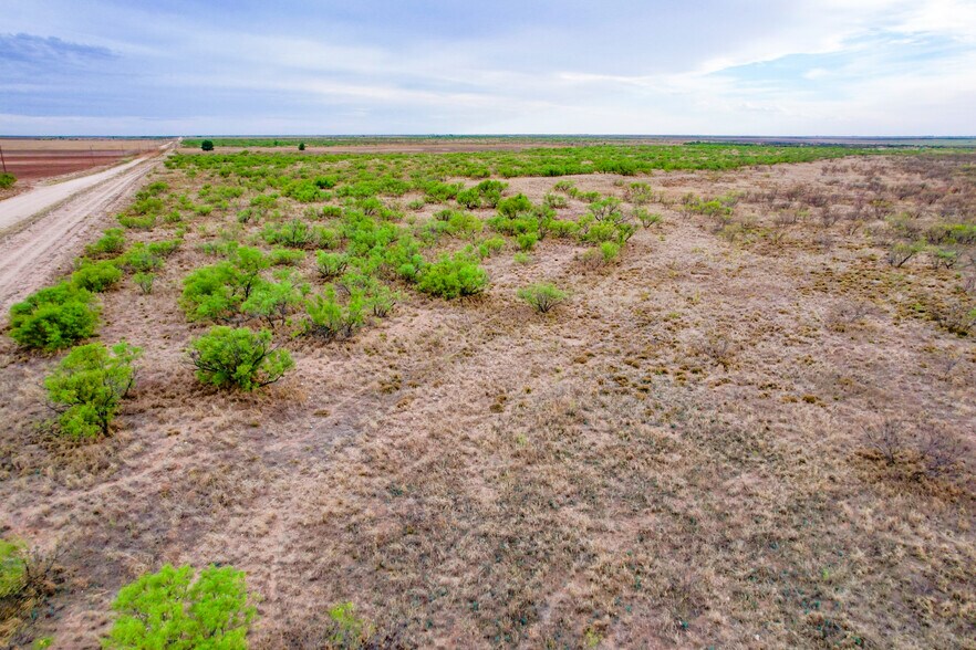 More Photos Of SW Corner of 380 & County Road 595 hwy, Brownfield Land For Sale