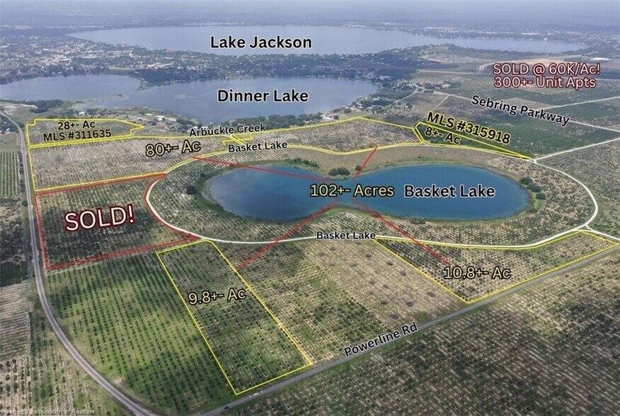 More Photos Of 1115 Basket Lake Rd, Avon Park Land For Sale