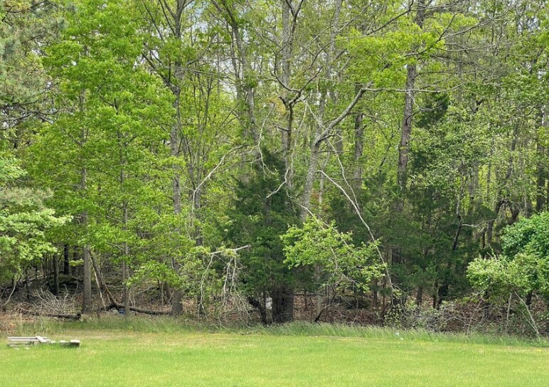 More Photos Of 0 East Main St, Tuckerton Land For Sale