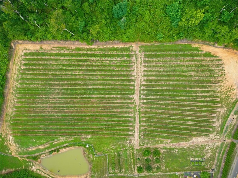 More Photos Of 1309 Redland Rd, Cross Junction Winery Vineyard For Sale