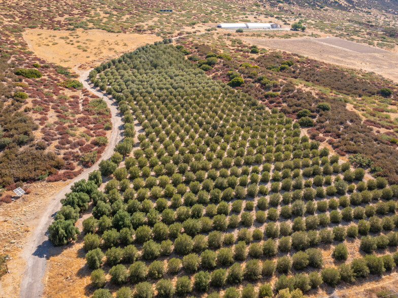 Primary Photo Of 0 San Felipe Rd, Warner Springs Land For Sale