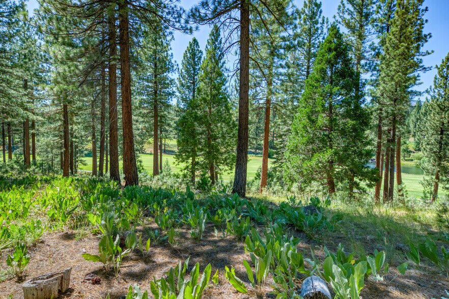 More Photos Of 241 Fox Sparrow, Portola Land For Sale