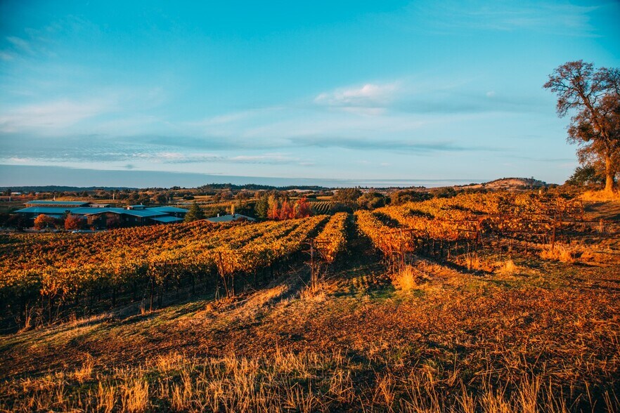 More Photos Of 20680 Shenandoah School Rd, Plymouth Winery Vineyard For Sale