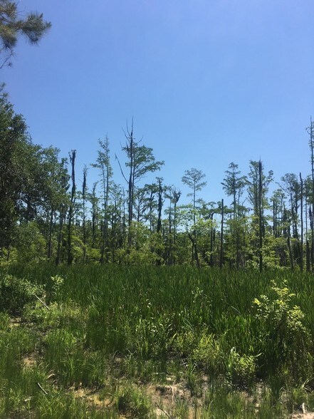 More Photos Of 42231 Highway 190, Slidell Land For Sale