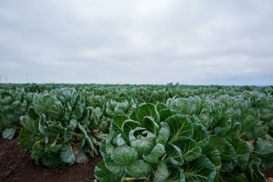 More Photos Of 120 San Jon Rd, Salinas Land For Sale