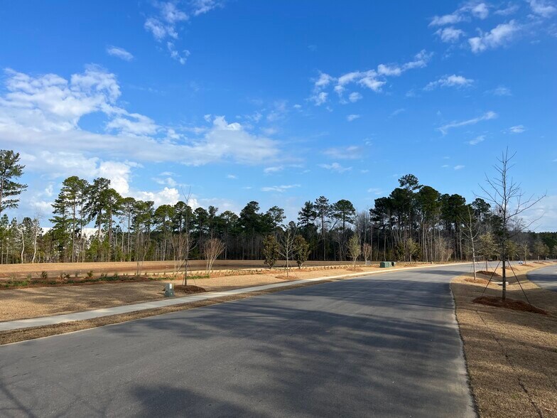 More Photos Of 00 Drop Off Dr, Summerville Land For Sale