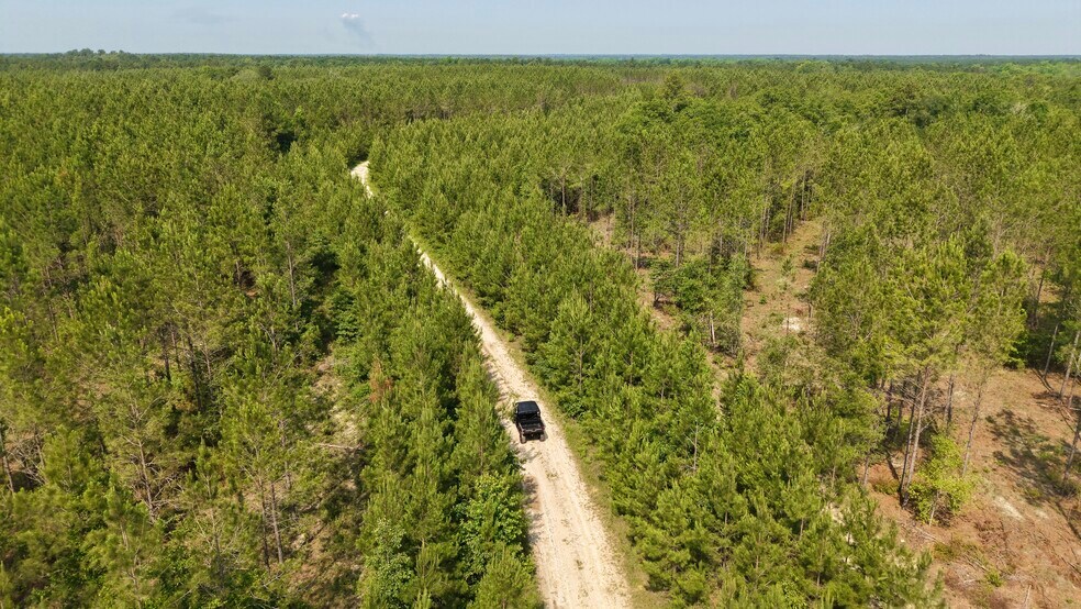 More Photos Of 17675 Cedar Springs Rd, Blakely Land For Sale