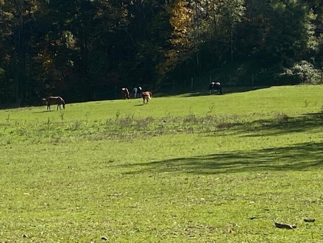 More Photos Of 7892 Stonewall Jackson Hwy, Front Royal Restaurant For Sale