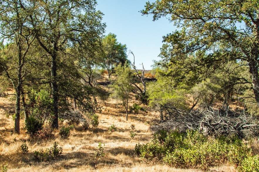 More Photos Of 4471 Buena Vista Rd, Ione Land For Sale