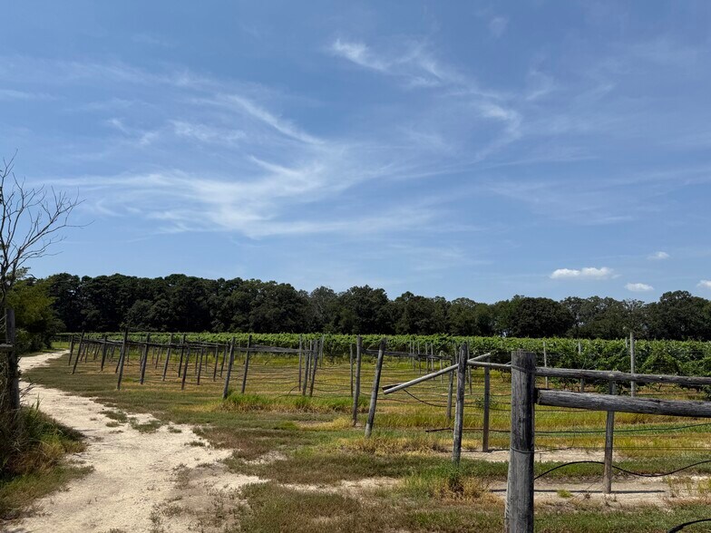 More Photos Of 221 N Delsea Dr, Cape May Court House Winery Vineyard For Sale