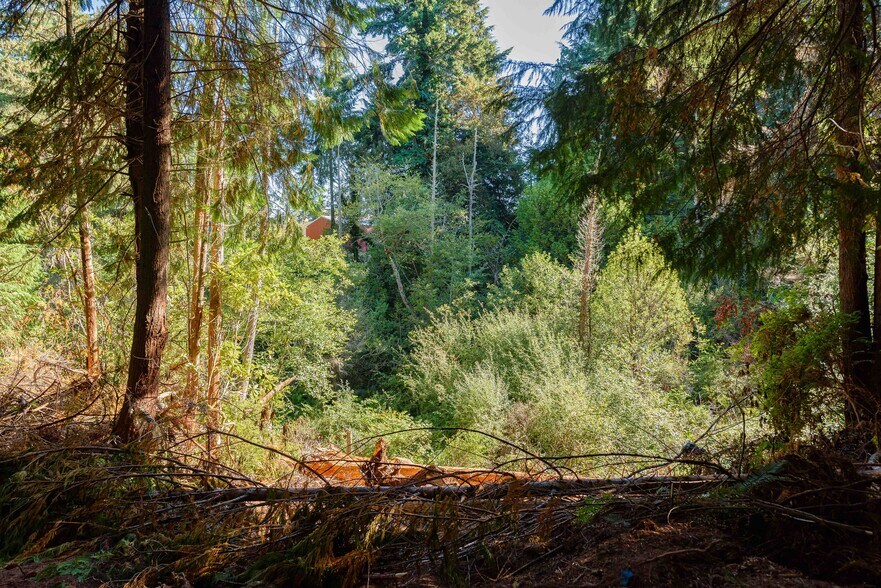 More Photos Of 0 Newmark ave, North Bend Land For Sale