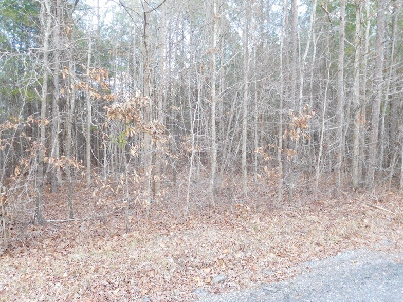More Photos Of Tanners Rd, Smyrna Land For Sale