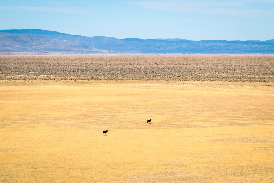 More Photos Of 737-455 Herlong Access Rd, Doyle Land For Sale