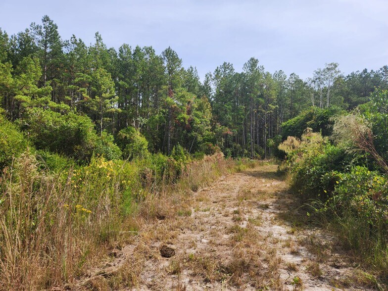 More Photos Of 6939 SW 1 Federal Rd, Lamont Land For Sale