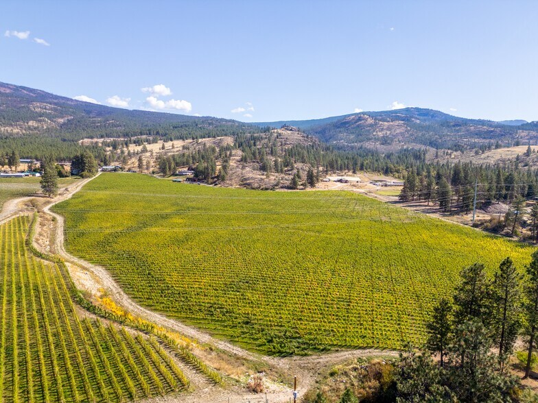 More Photos Of 1580 Chapman Rd, Okanagan Falls Winery Vineyard For Sale