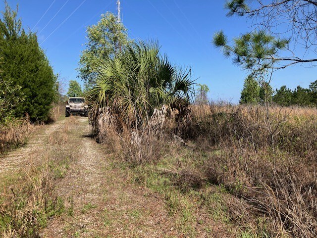 More Photos Of 1083 Obrien Point, Lecanto Land For Sale