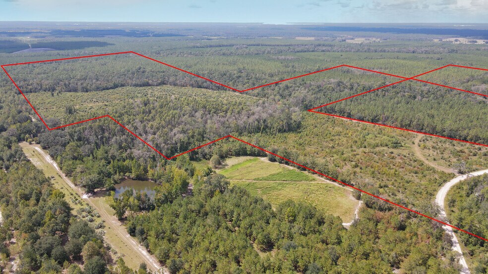 More Photos Of TBD NE 36th Drive Dr, Jasper Land For Sale