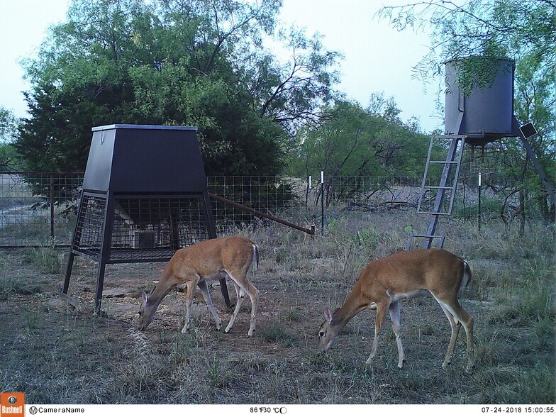 More Photos Of 4636 Halsell Ranch Rd, Jacksboro Trailer Camper Park For Sale