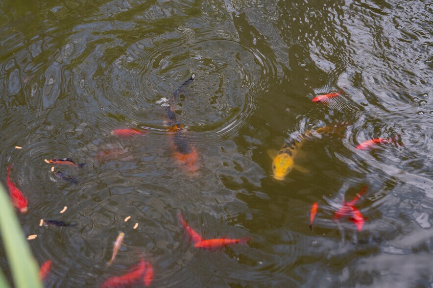 More Photos Of 706 Bradford Ave, Kemah Land For Sale