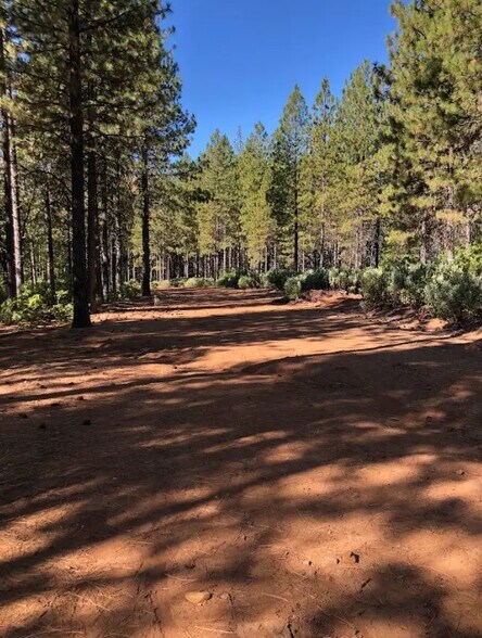 More Photos Of 1989 Tract Shingletown Ridge Rd, Shingletown Land For Sale