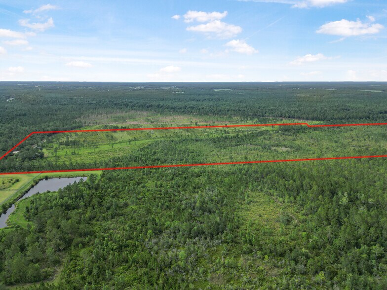 More Photos Of N US Hwy 17, Pierson Land For Sale