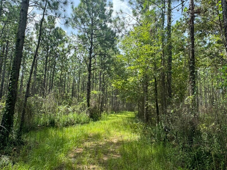 More Photos Of 0 Nokomis Road, Walnut Hill Land For Sale