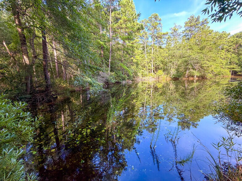 More Photos Of 3.39 Acres, FM 787, Saratoga Land For Sale