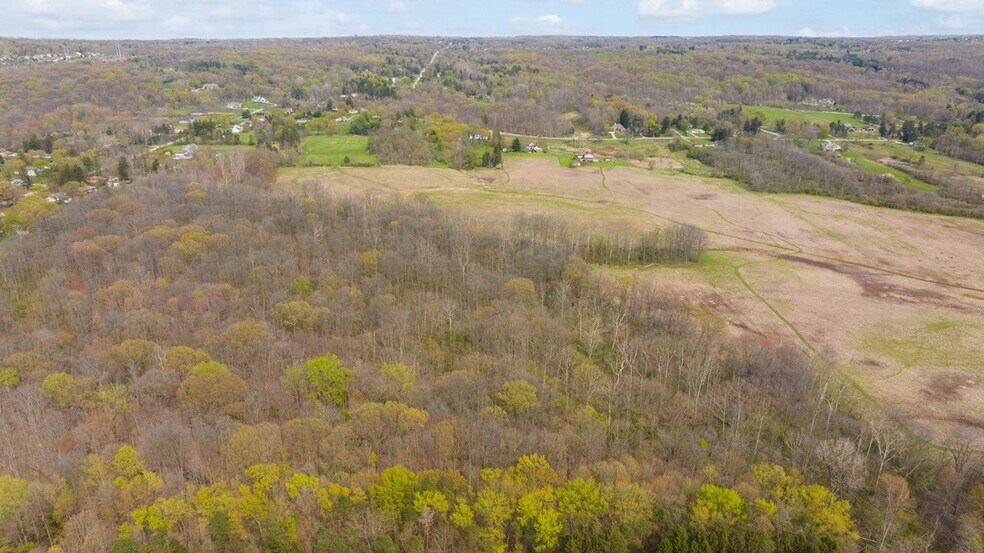 More Photos Of 17286 Ridge Rd, North Royalton Land For Sale