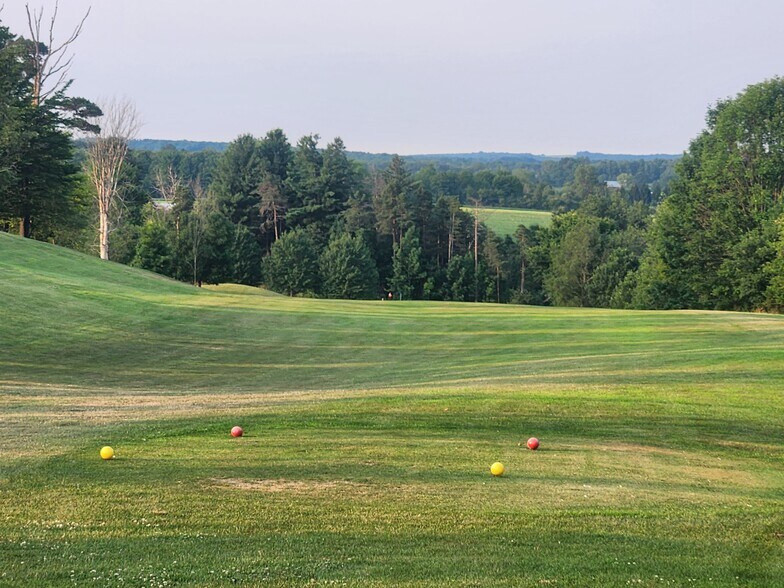 More Photos Of 7830 Knoyle Rd, Wattsburg Sports And Entertainment For Sale
