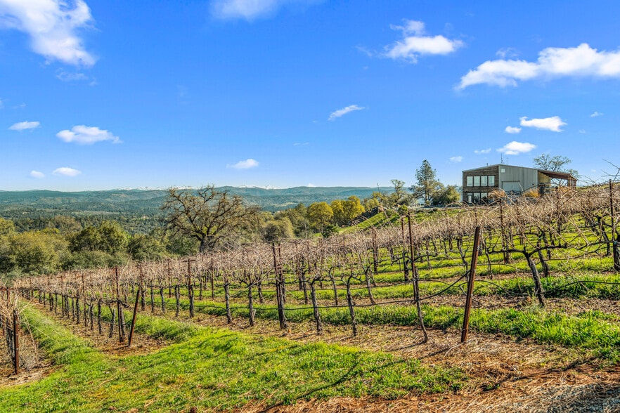 More Photos Of 6781 Tower, Somerset Winery Vineyard For Sale