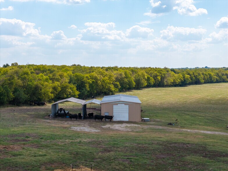 More Photos Of 3679 County Road 1089, Celeste Land For Sale