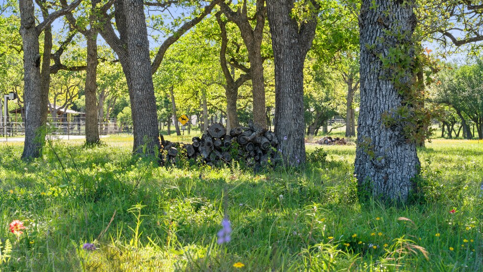 More Photos Of 13744 Us Highway 281 N, Round Mountain Flex For Sale