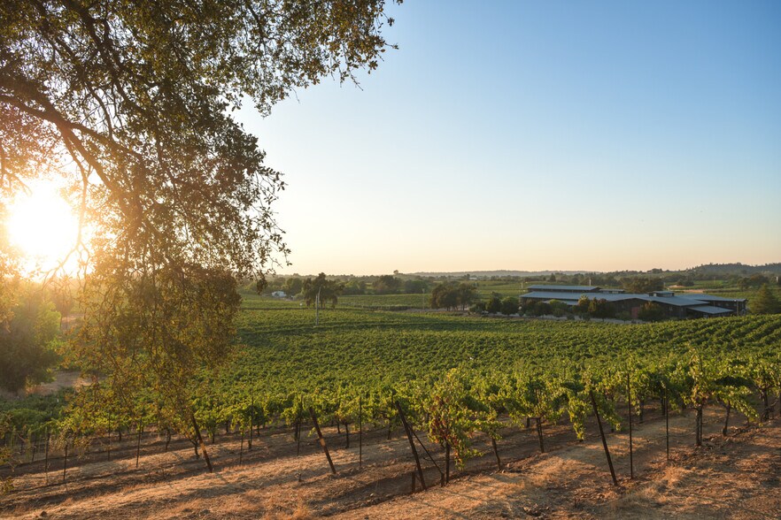 More Photos Of 20680 Shenandoah School Rd, Plymouth Winery Vineyard For Sale