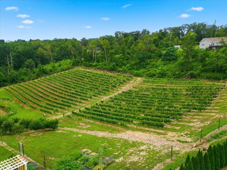 More Photos Of 1309 Redland Rd, Cross Junction Winery Vineyard For Sale